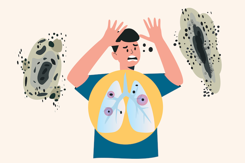 Human's lungs with fungi Aspergilloma Black mold colonies, allergenic black mildew spots, dark fungus colonies isolated, wall mouldiness, mustiness, rot. Flat vector illustration